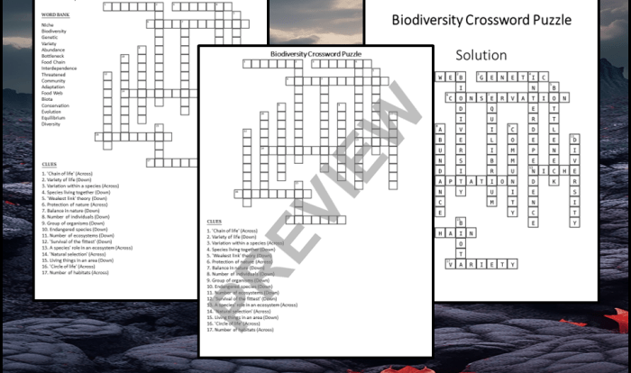 Biodiversity crossword puzzle answer key