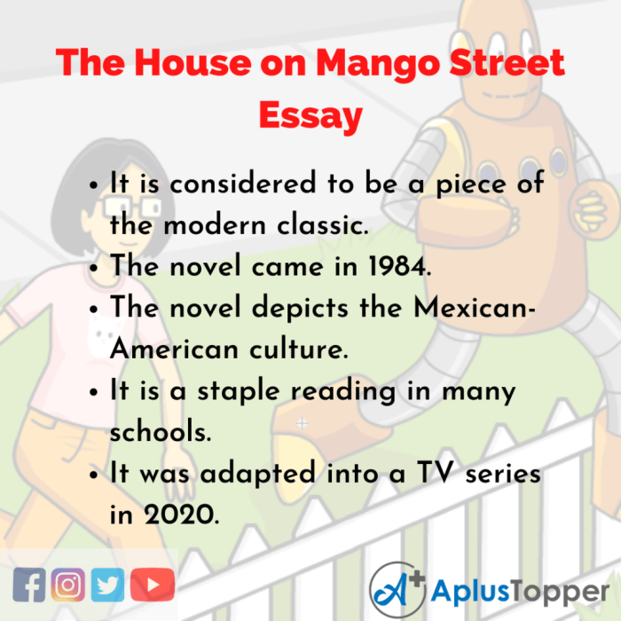 Annotations for the house on mango street