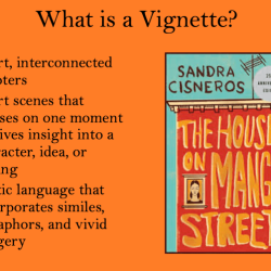 Annotations for the house on mango street