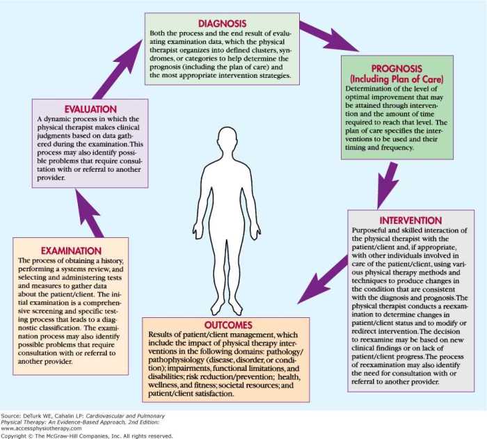 Ohio jurisprudence exam physical therapy