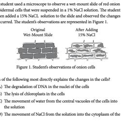 Ap world history 2020 practice exam 1 mcq answers