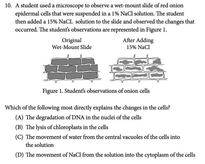 Ap world history 2020 practice exam 1 mcq answers