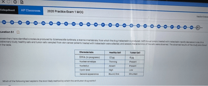 Ap world history 2020 practice exam 1 mcq answers